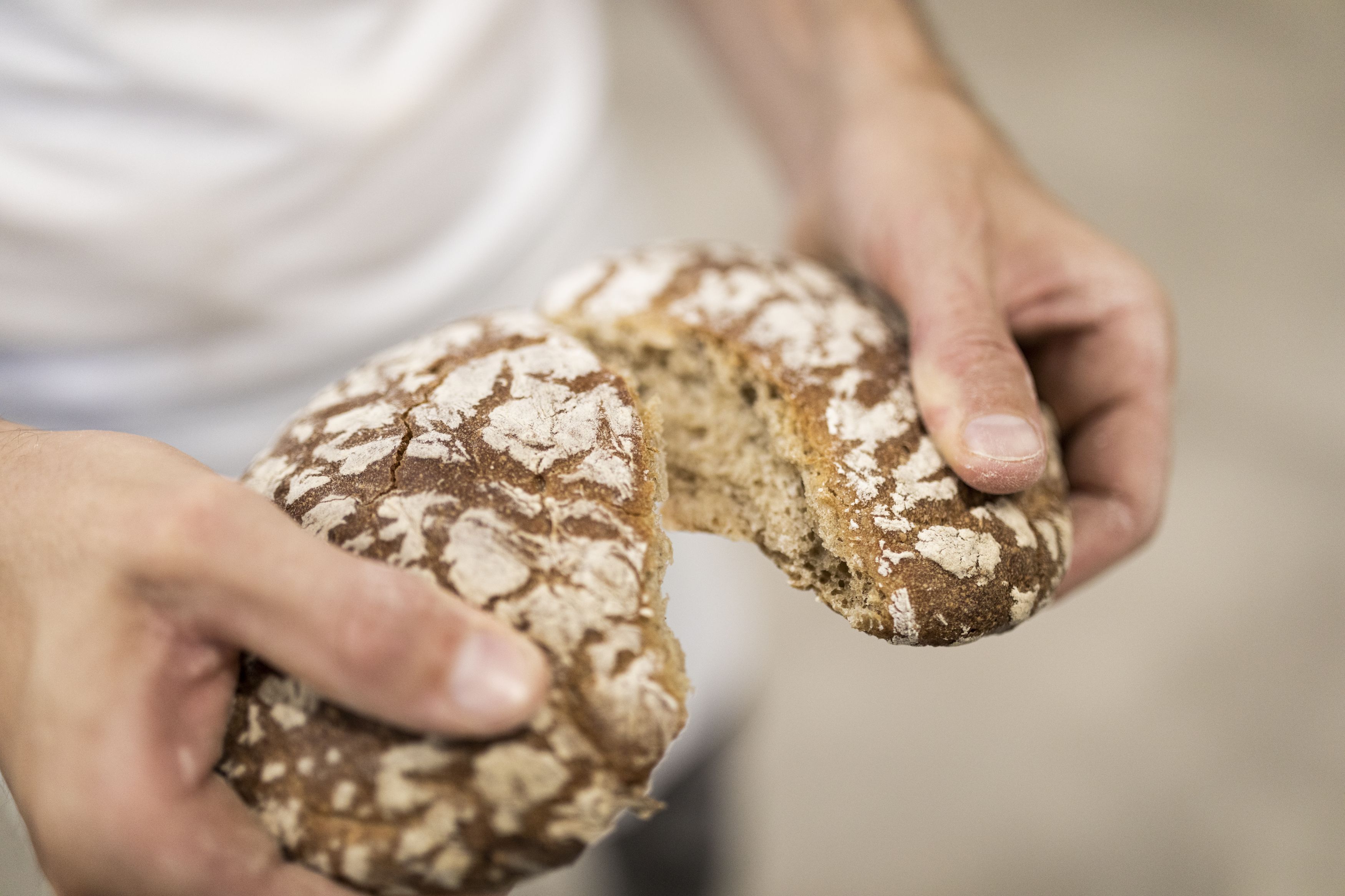 Brot Stein unter Lebenberg