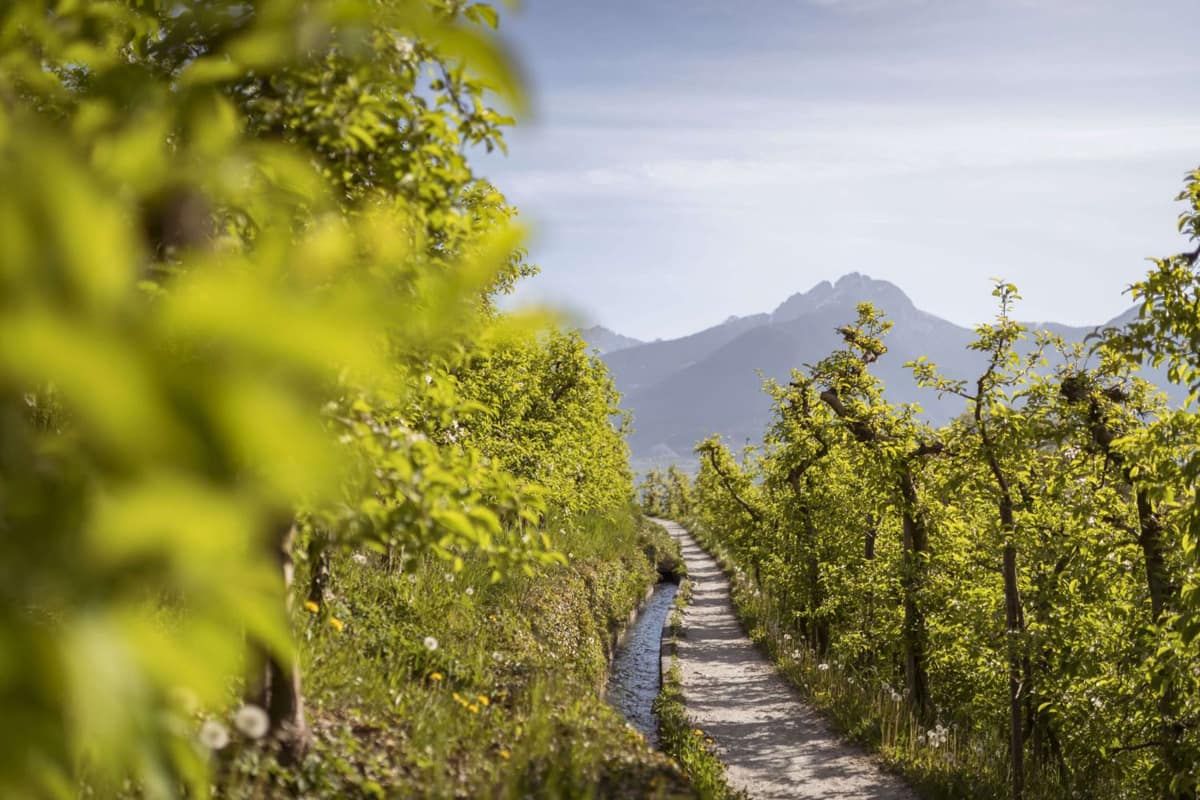 marlinger waalweg stein unter lebenberg komprimiert