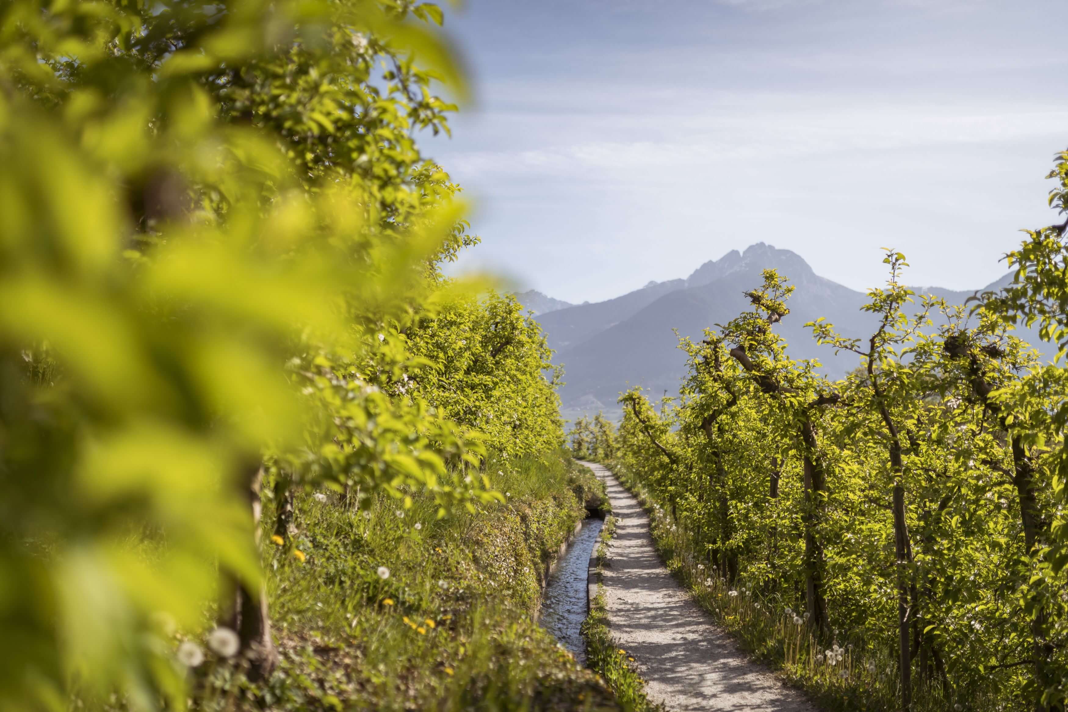 Marlinger Waalweg Stein unter Lebenberg