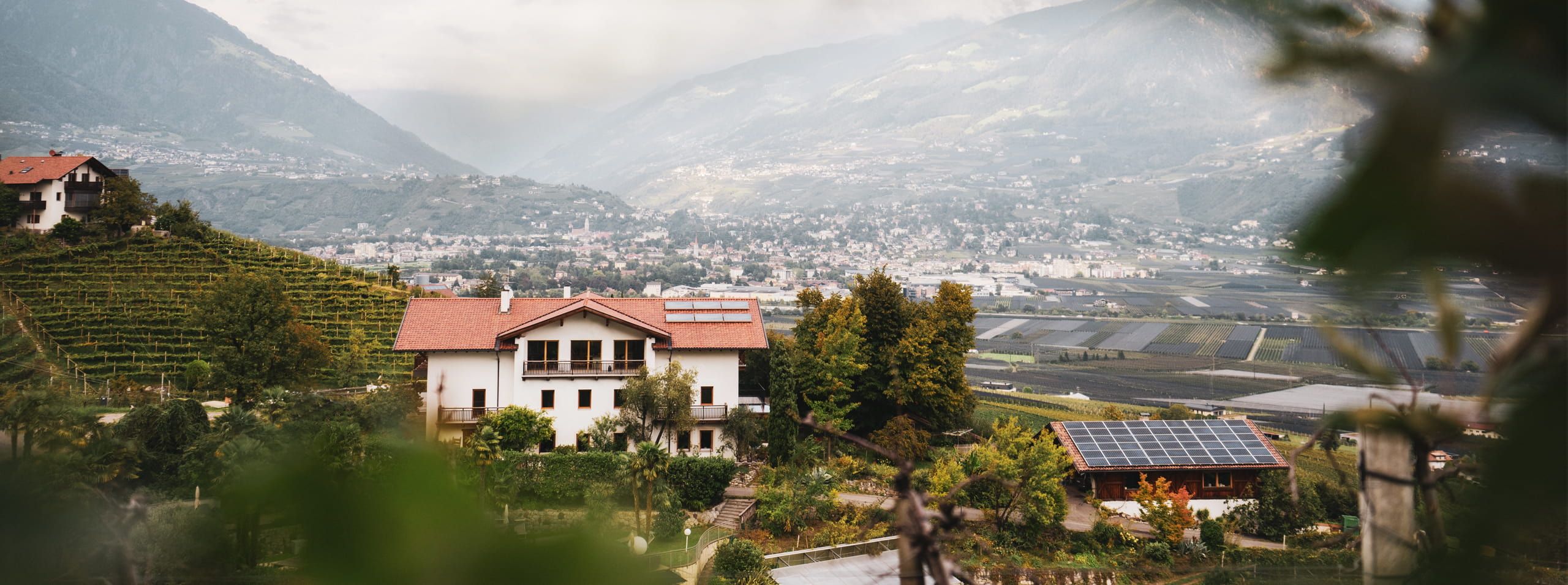 Stein unter Lebenberg Titelbild